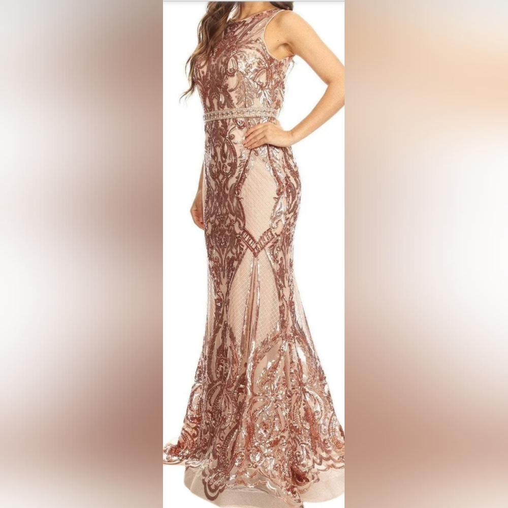 Fairycore Ball Gown sequin small mermaid mesh bateau nudes